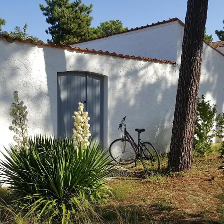 Vakantiehuis Cote Les Tremieres A La Palmyre *