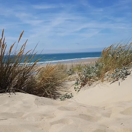 Cote Les Tremieres A La Palmyre